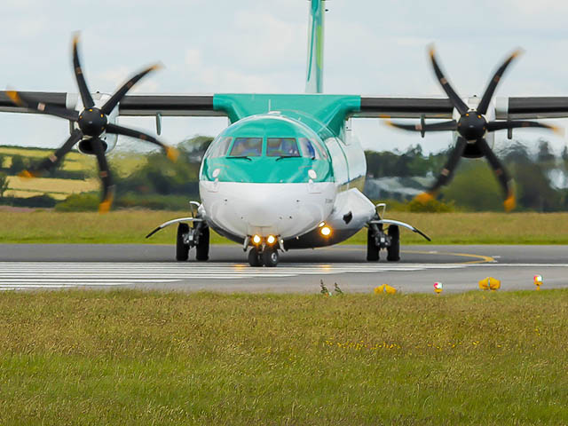 Aer Lingus: demi-tour à cause d'un lapin 1 Air Journal