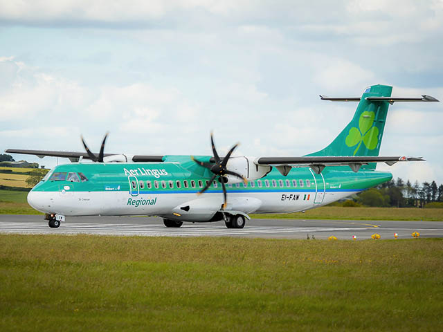 Aer Lingus: demi-tour à cause d'un lapin 3 Air Journal