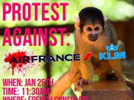 air-journal_primates air france