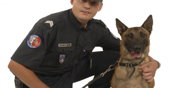 aj_police_chien aj_police_chien