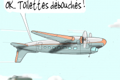 wc-debouchage