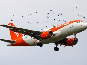 
La menace de grève chez easyJet France n’a plus rien d’hypothétique. Après l’échec d’une ultime réunion entre la dir
