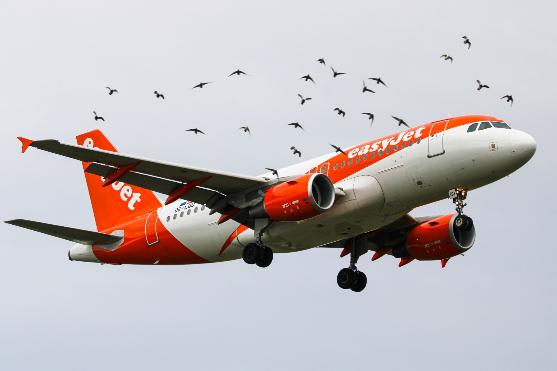 EasyJet ouvre Bruxelles et Essaouira depuis Nantes dès octobre 1 Air Journal