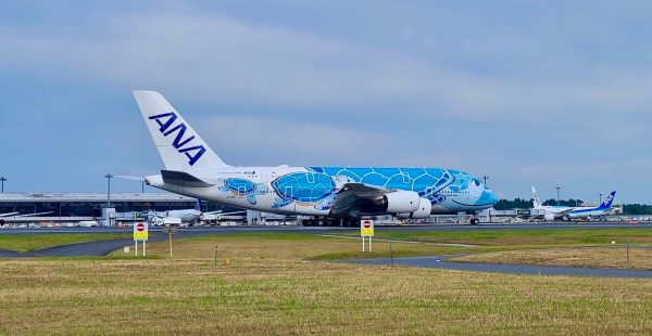 
All Nippon Airways (ANA) a choisi Airbus pour former une partie de sa future génération de pilotes.&nbsp;Le groupe japonais env