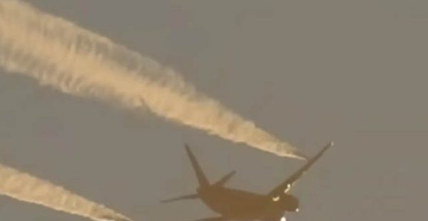 En raison du comportement d’un passager indiscipliné, les pilotes du vol entre Los Angeles (LAX) et Rome-Fiumicino ont opéré 