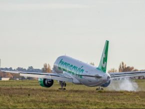 
Transavia France muscle encore un peu plus son offre à destination des voyageurs fréquents. La filiale low cost d’Air France-