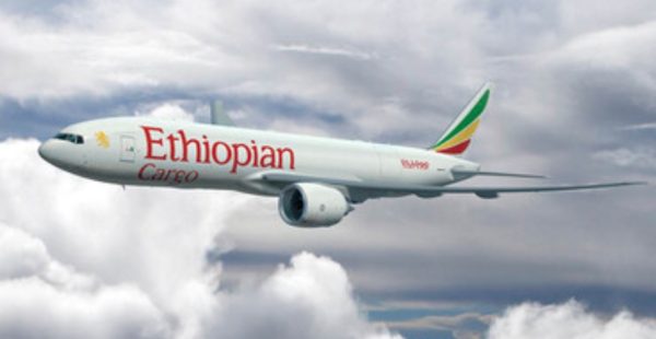 
Ethiopian Airlines va devenir la première compagnie africaine à exploiter le Boeing 777‑300ERSF, version cargo issue de la co