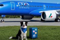 
ITA Airways ouvre une nouvelle page du transport aérien en Italie avec le lancement de  &nbsp;Large Dog On Board&nbsp;», un se