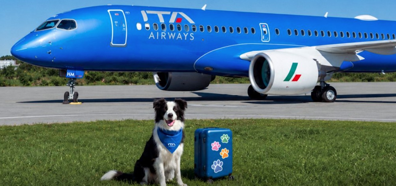 ITA Airways ouvre la cabine aux grands chiens : une première italienne qui bouscule les codes 1 Air Journal