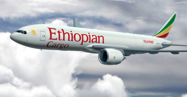 
Ethiopian Airlines serait sur le point de renforcer très sensiblement sa flotte tout-cargo avec jusqu’à dix Boeing 777F, dont