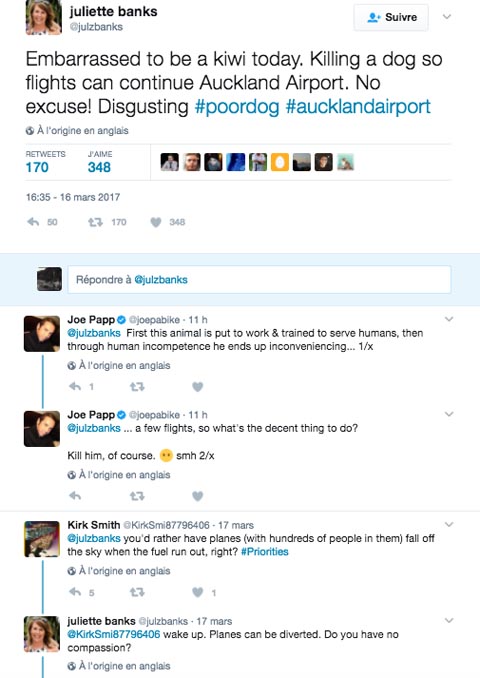 Un chien abattu sur l’aéroport d’Auckland parce qu’il retardait des vols 37 Air Journal