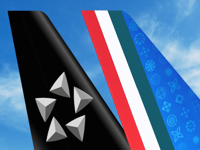 ITA Airways : son intégration dans Star Alliance d’ici début 2026