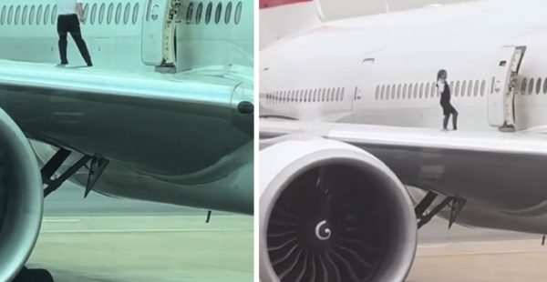 
Un groupe d agents de bord de SWISS Air se sont mis dans une situation délicate après la diffusion d une vidéo les montrant en