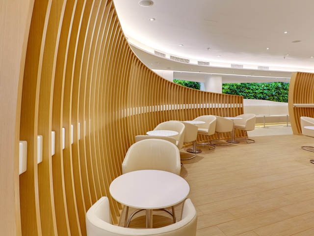 Air-journal-Salon Skyteam Hong Kong 1