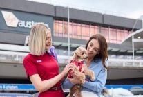 
Virgin Australia s apprête à devenir la première compagnie aérienne du pays à accueillir les animaux de compagnie à bord. S