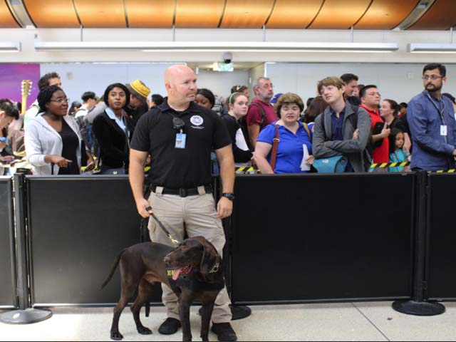 Amerika Birleşik Devletleri: Kablosuz saç düzleştiriciler ve maşalar artık Hold 1 Air Journal'da yasaklandı Amerika Birleşik Devletleri: Kablosuz saç düzleştiriciler ve maşalar artık Hold 1 Air Journal'da yasaklandı