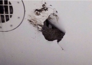 Air-journal-collision vache