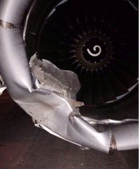 Air-journal-collision vache-spicejet