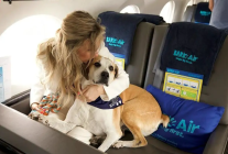 
Bark Air, la première compagnie aérienne au monde axée sur les chiens, a décollé pour son vol inaugural de l aéroport du co