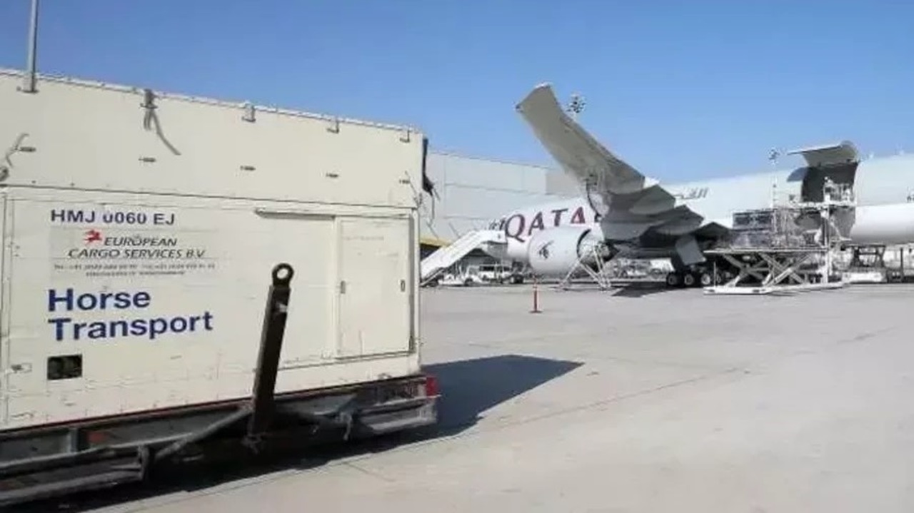 Trafic maritime du détroit d’Ormuz bloqué : les ultra-riches se font livrer leurs Ferrari par avion 1 Air Journal