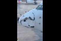 
Un Boeing 737‑800 de Garuda Indonesia a été immobilisé à Pekanbaru, situé sur l’île de Sumatra, après la découverte, 