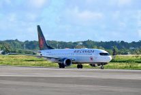 
La Guadeloupe gagne un nouvel accès au marché nord-américain avec l’ouverture d’une ligne saisonnière directe entre Toron