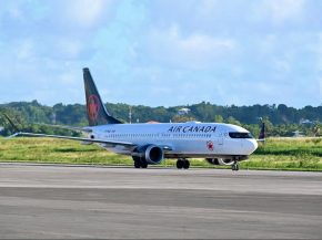 
La Guadeloupe gagne un nouvel accès au marché nord-américain avec l’ouverture d’une ligne saisonnière directe entre Toron