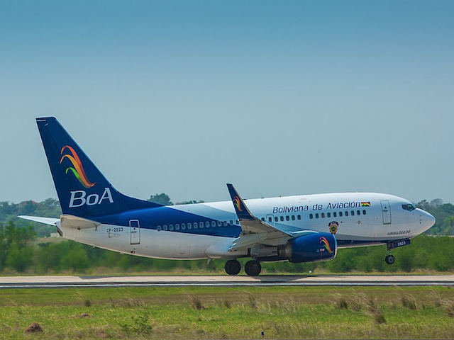 Un 737 de Boliviana de Aviación endommagé après que l'avion a heurté une meute de chiens sur la piste au décollage 20 Air Journal