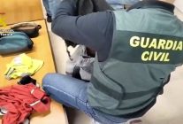 
Quatorze employés de l un des principaux aéroports touristiques d Espagne ont été arrêtés, soupçonnés d avoir volé des o
