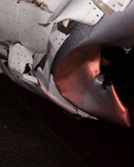 Air-journal_collision vache_spicejet1