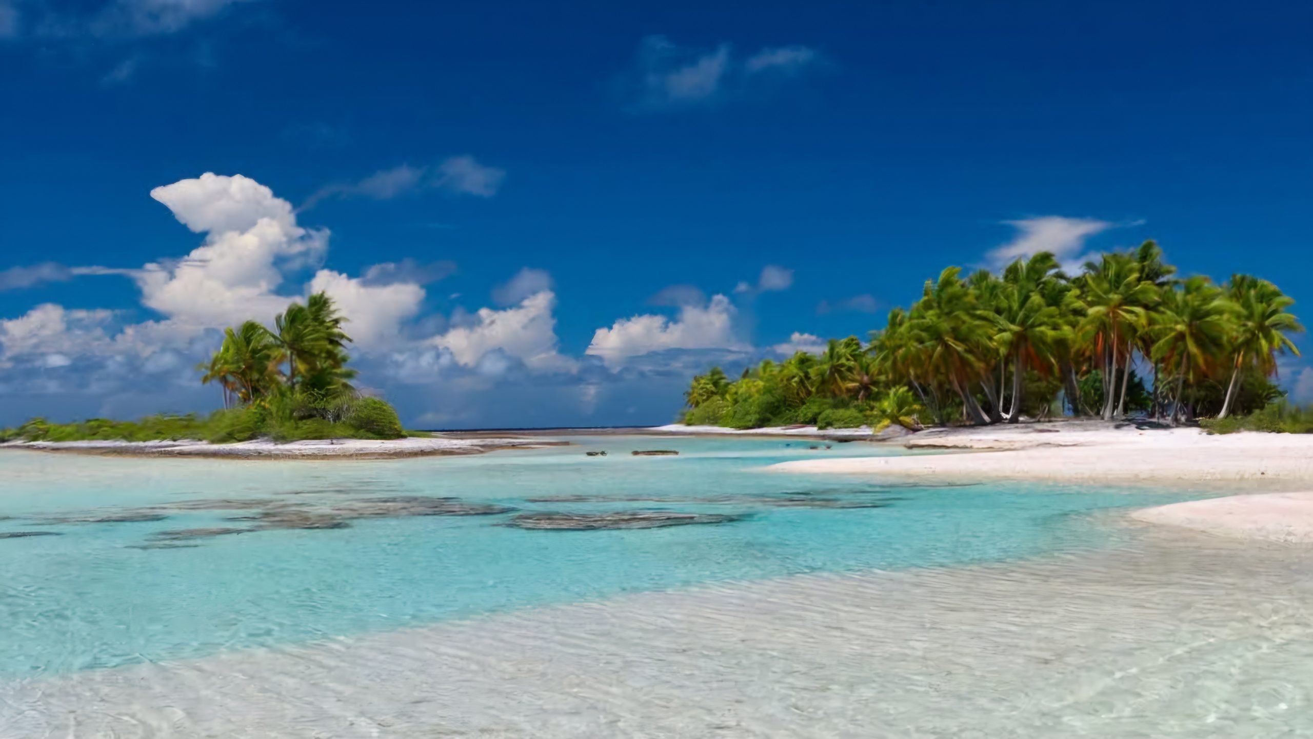 De Tahiti à Bora Bora : la Polynésie française plus prisée que jamais du tourisme international 1 Air Journal De Tahiti à Bora Bora : la Polynésie française plus prisée que jamais du tourisme international 1 Air Journal