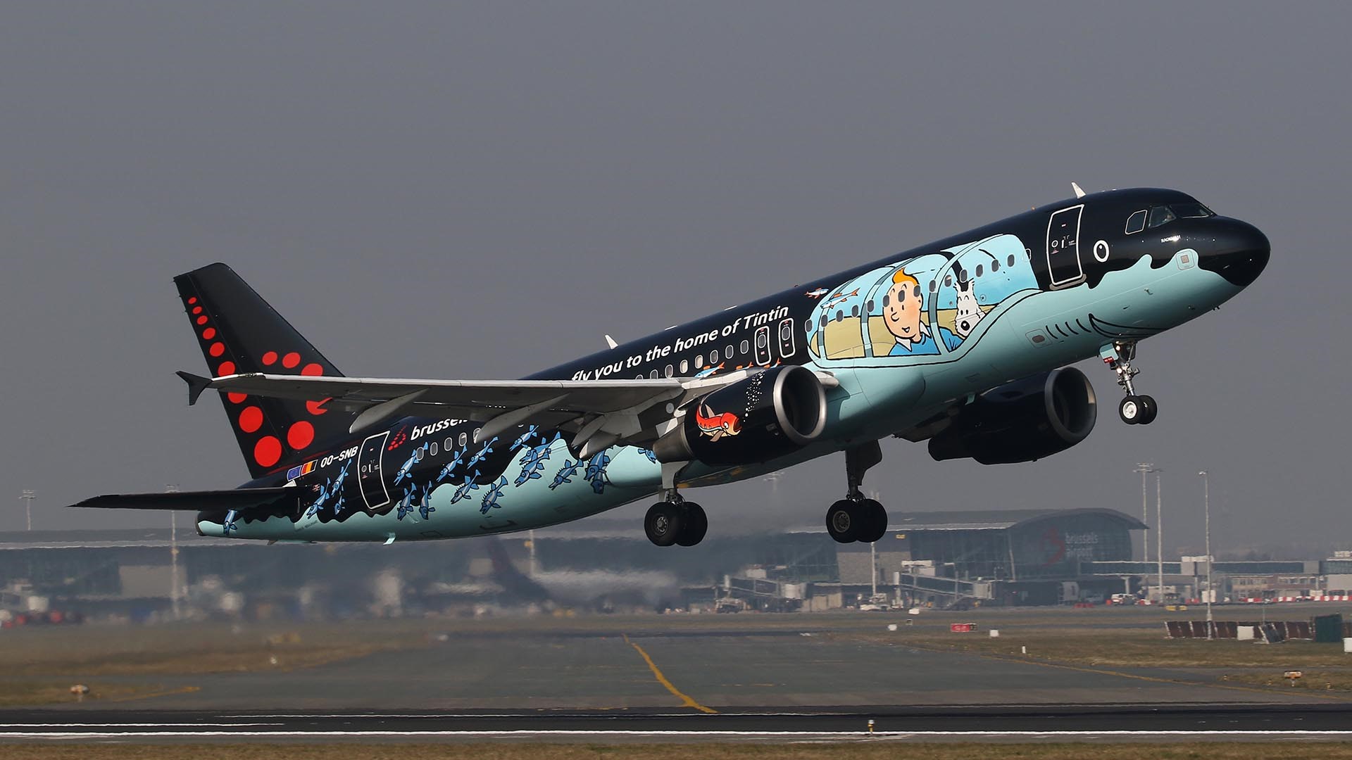 Brussels Airlines : un semestre pénalisé par le kérosène, l’expansion long-courrier suspendue