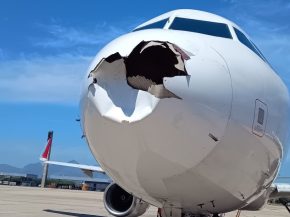 
Jeudi, un Airbus A321 de la compagnie aérienne brésilienne LATAM a percuté des oiseaux en plein vol. La collision aviaire a en