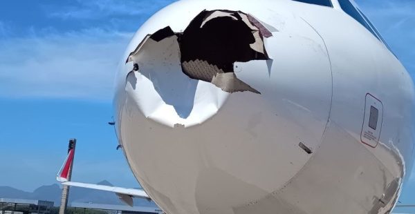 
Jeudi, un Airbus A321 de la compagnie aérienne brésilienne LATAM a percuté des oiseaux en plein vol. La collision aviaire a en
