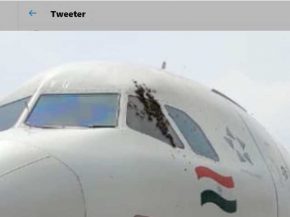 Dimanche dernier, le vol 743 d Air India au départ de Calcutta (Kolkata) à destination d Agartala a été retardé... par des ab