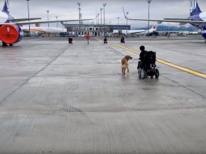Hier, vendredi après-midi, des&nbsp;handicapés en fauteuil sont parvenus à pénétrer sur le tarmac de l aéroport de Toulouse-