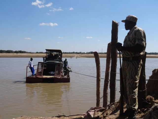 Tourisme en Afrique : les grandes réserves naturelles pour faire des safaris