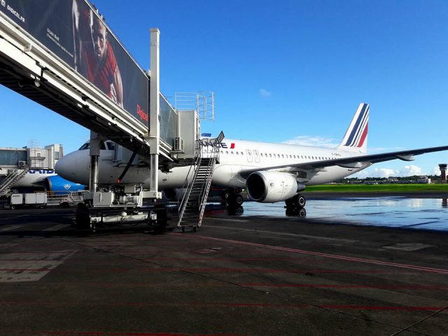 Guadeloupe-Pôle Caraïbes : trafic en hausse de 5% en mars 2019 1 Air Journal
