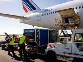 
L Association du transport aérien international (IATA) a publié ses données sur les marchés mondiaux du fret aérien pour fé