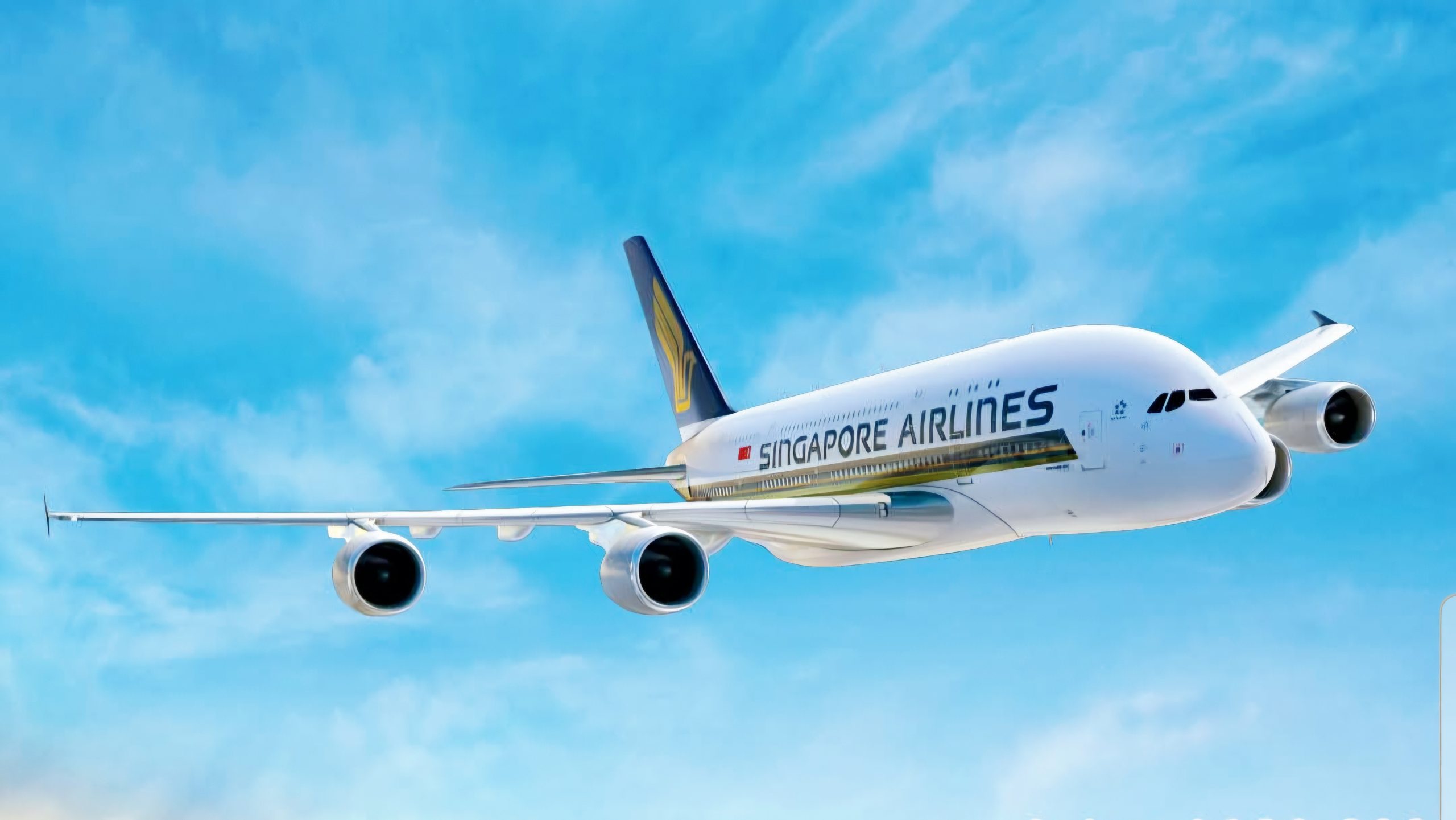 Malaysia Airlines–Singapore Airlines : une joint‑business pour structurer l'un des corridors aériens les plus fréquentés d’Asie du Sud‑Est 1 Air Journal Malaysia Airlines–Singapore Airlines : une joint‑business pour structurer l'un des corridors aériens les plus fréquentés d’Asie du Sud‑Est 1 Air Journal