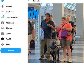 Les passagers d’un vol American Airlines reliant Chicago à Omaha ont été témoins d’une scène plus qu’insolite : une fem