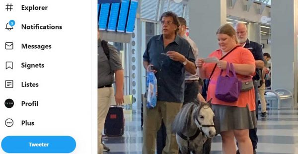 Les passagers d’un vol American Airlines reliant Chicago à Omaha ont été témoins d’une scène plus qu’insolite : une fem