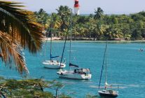 
Alors que de nombreuses destinations caribéennes peinent sous le poids du tourisme de masse nord-américain, la Guadeloupe émer