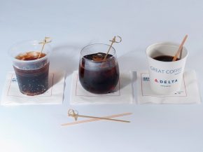 Dans le cadre de sa politique de développement durable, Delta Air Lines retire une grande variété d’articles en plastique à 