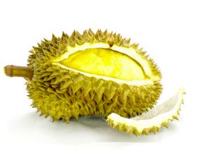 Le fruit du durian, vous connaissez ? Il est très prisé des gourmets du sud-est asiatique qui le considèrent comme le  roi des 