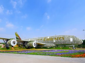Depuis novembre, les visiteurs au Dubaï Miracle Garden peuvent découvrir un Airbus A380 aux couleurs d Emirates tout en fleurs e