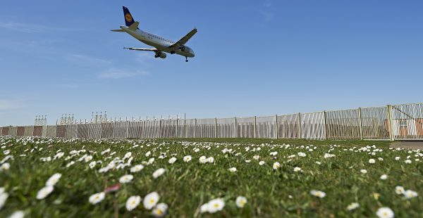 
La 16e édition du congrès APG World Connect s est déroulé à Séville du 29 au 31 octobre 2025, rassemblant plus de 500 déci