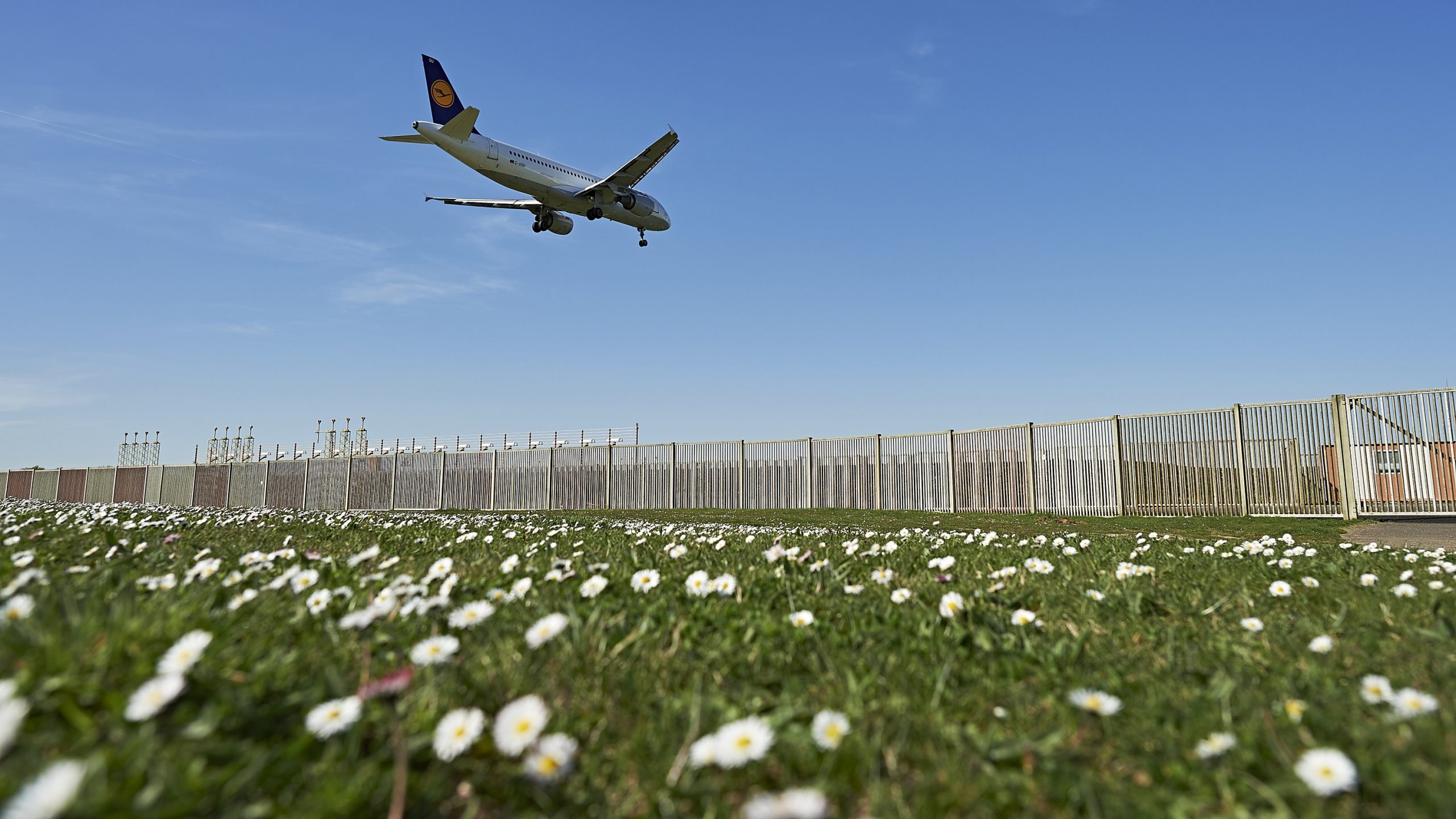LATAM, Air China, Air Sénégal… les nouveaux visages du ciel de Brussels Airport 2 Air Journal LATAM, Air China, Air Sénégal… les nouveaux visages du ciel de Brussels Airport 2 Air Journal