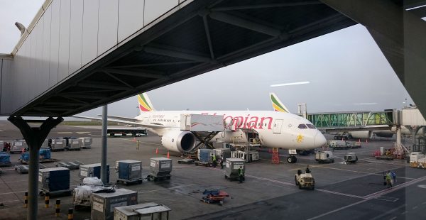 En collaboration avec la compagnie nationale Ethiopian Airlines, le Département d’immigration éthiopien a mis en place un nouv