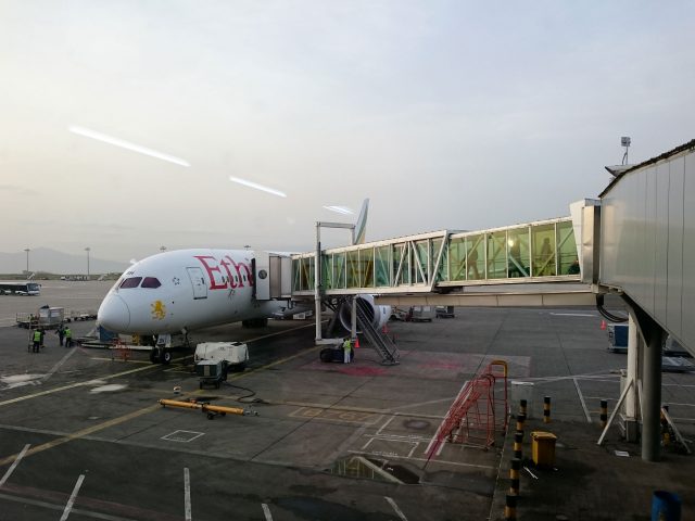 Ethiopian Airlines investit dans un méga-aéroport d'une capacité de 100 millions de passagers 1 Air Journal
